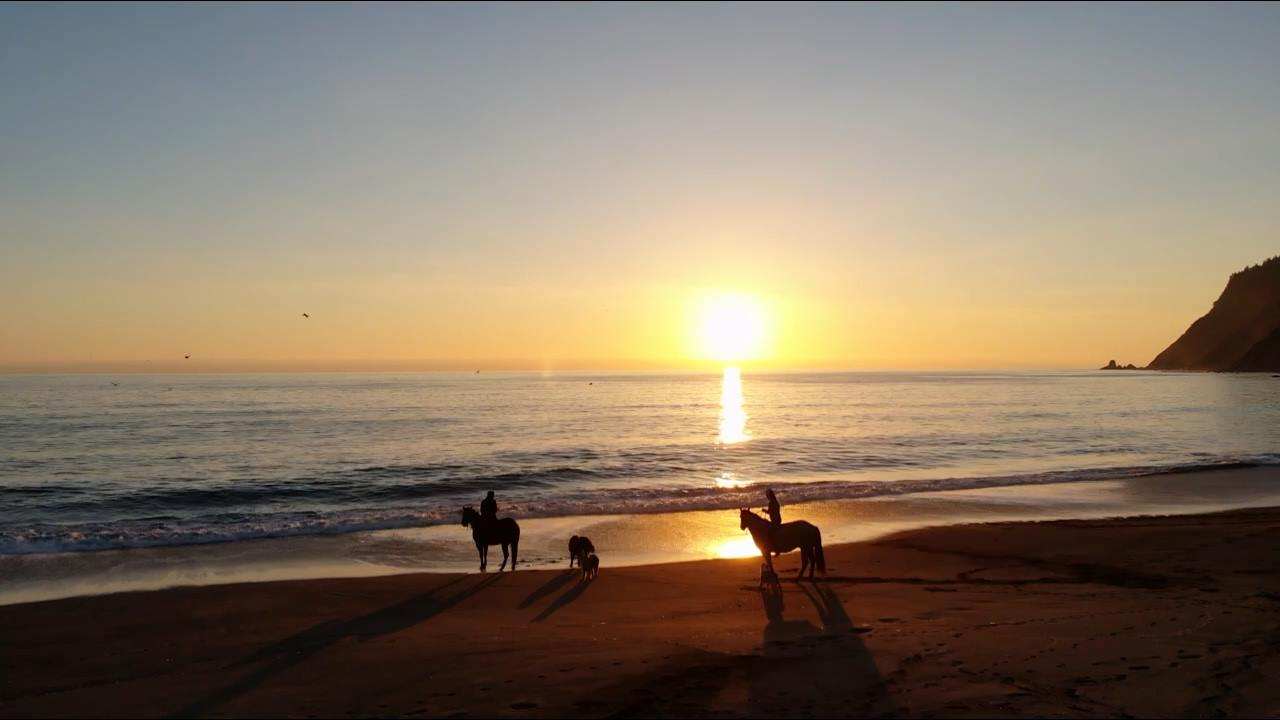 Two riders and their dogs on a wide beach as the sun goes down over the ocean