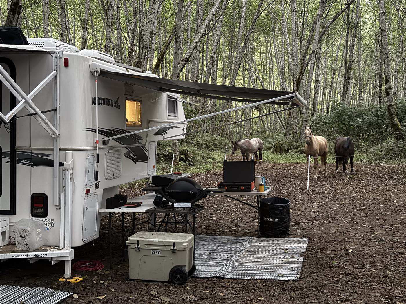 A camp set up in a clearing with horses on portable fencing