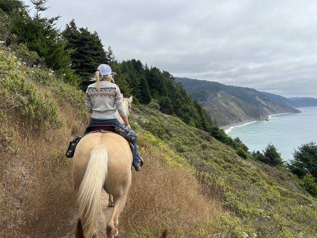 A rider on a coastal trail high above the ocean