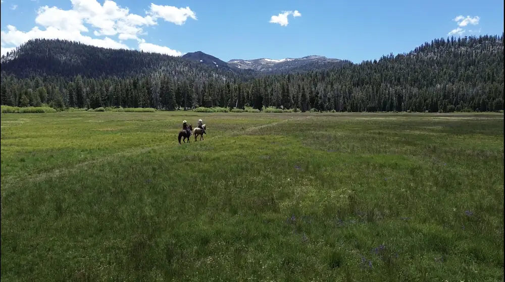 Two riders crossing a wide mountain meadow below forested peaks