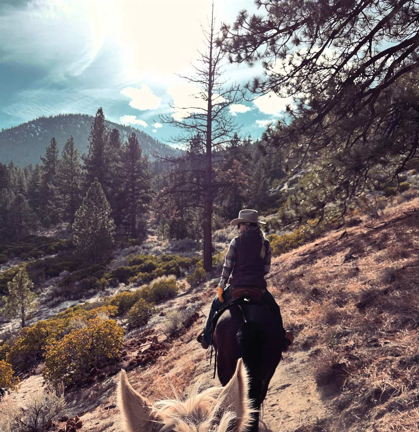 Following another rider down a trail through pines, mountains beyond