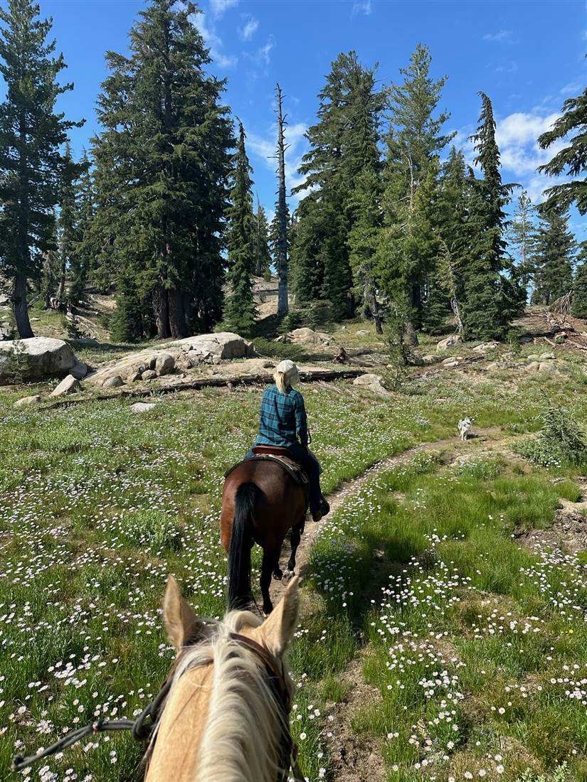Riding through a high meadow of wildflowers